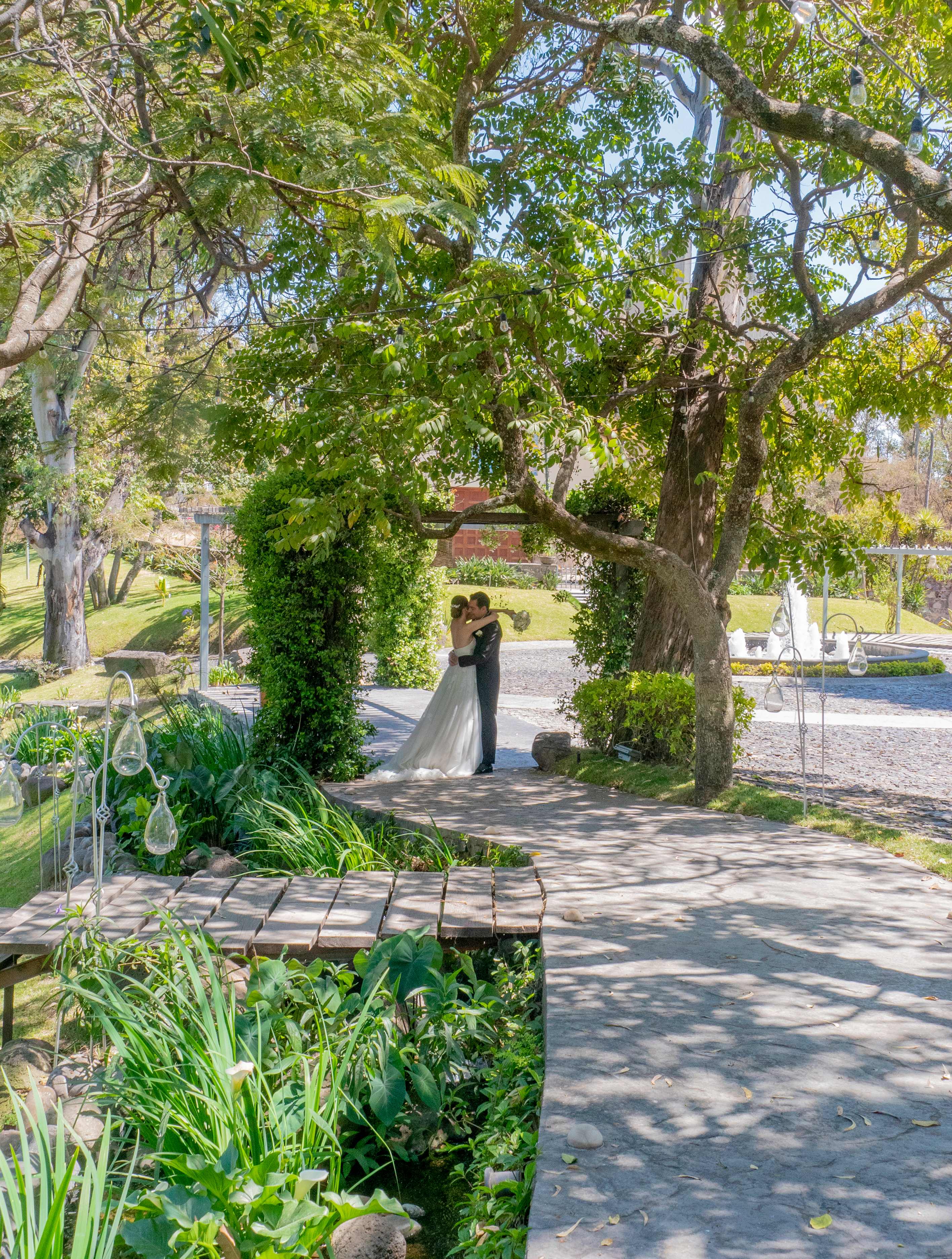 Pareja de novios bajo la bóveda natural de árboles centenarios
